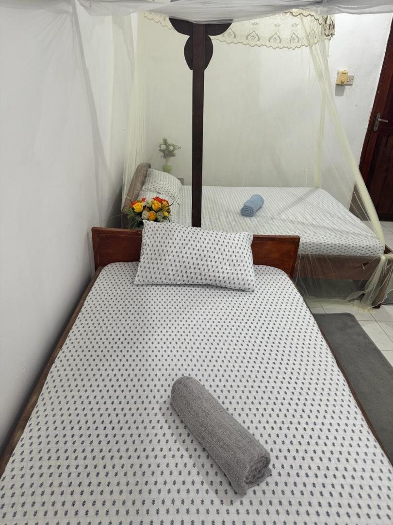 Sanaa Hostel 잔지바르 외부 사진